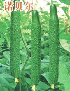 仙居吃瓜基地微信号,揭秘瓜果乐园的甜蜜秘密